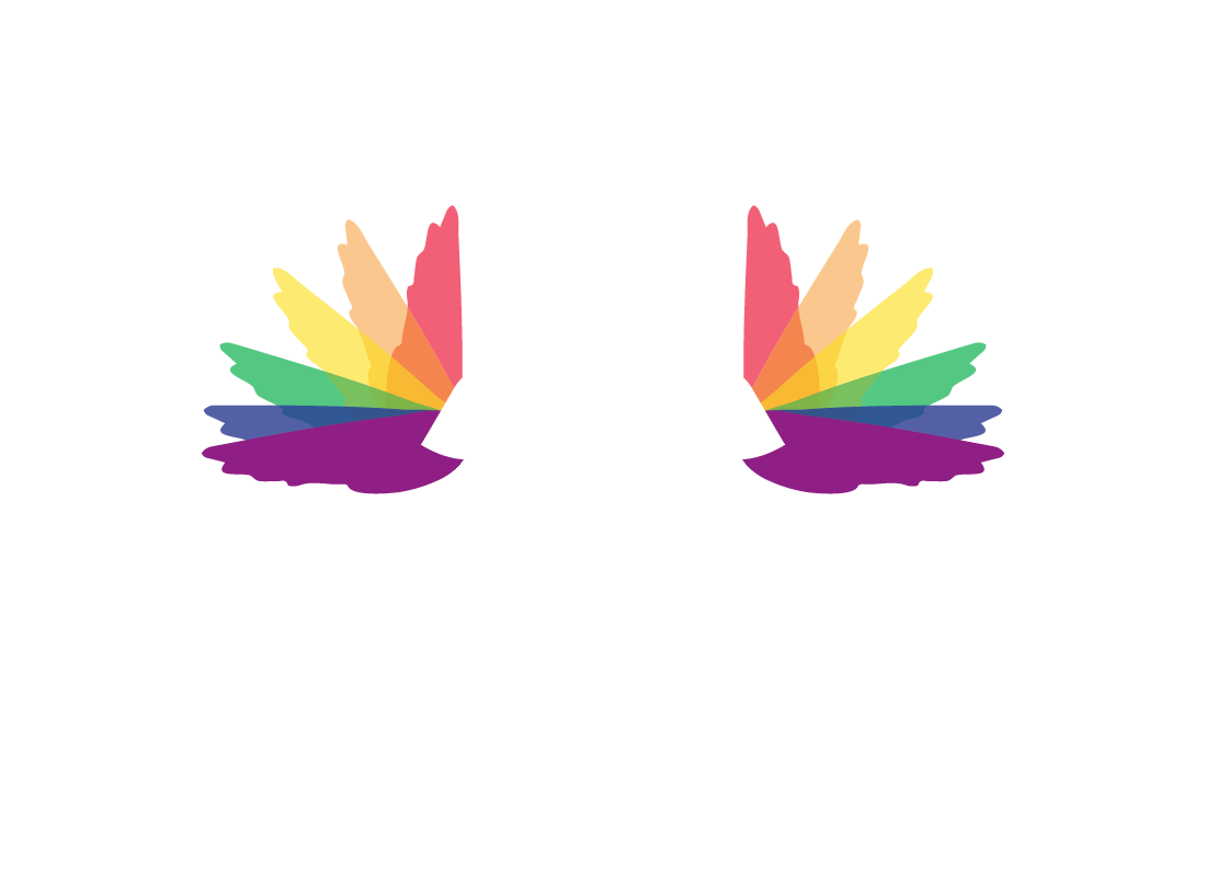 Bird's Eye View Drone Photography